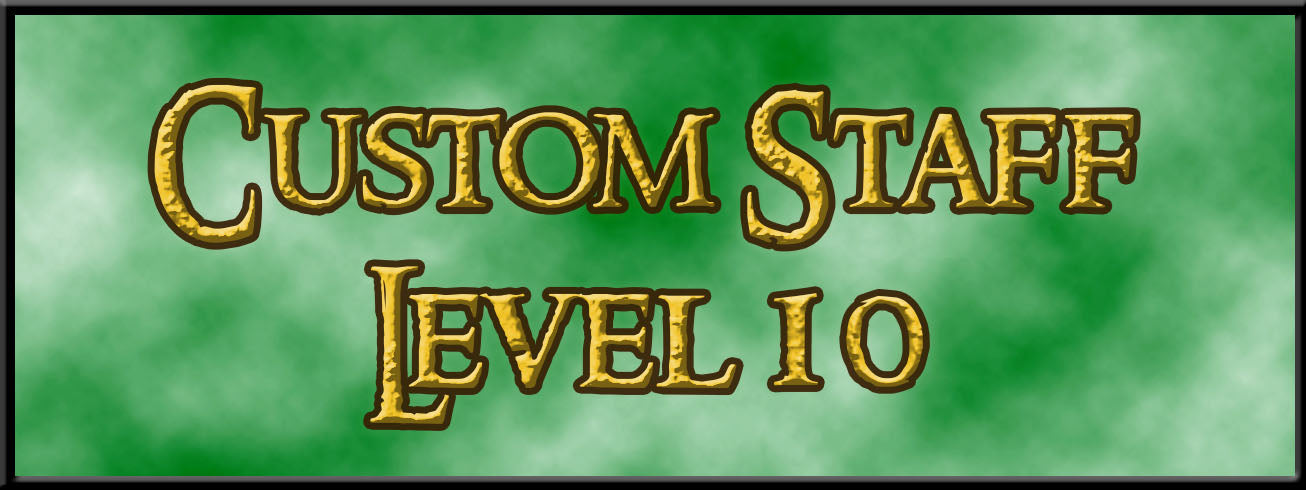Custom Magic Wizard Staff Level 10